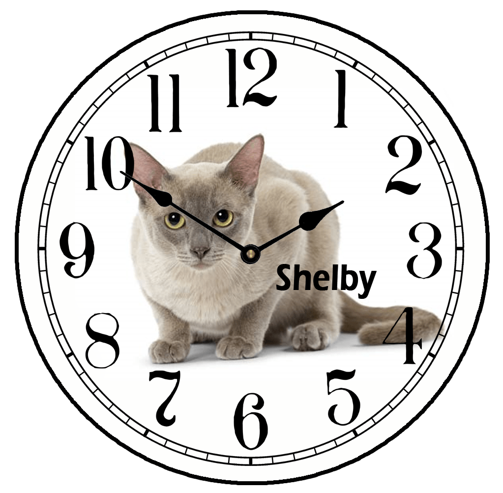 Your Pet Photo Clock - CustomBigClocks